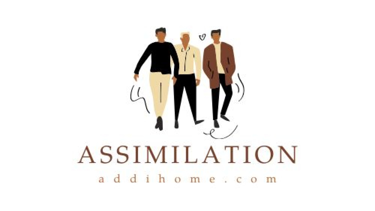 Assimilation